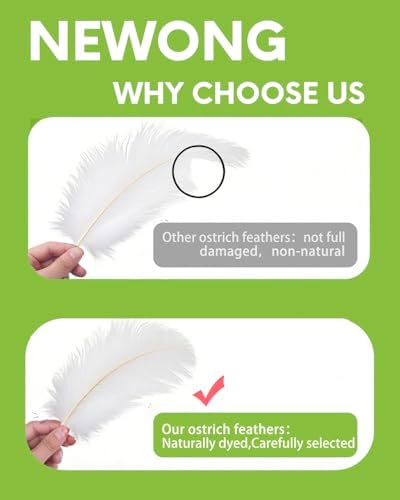 NEWONG 30pcs White Ostrich Feathers for Crafts and Decor