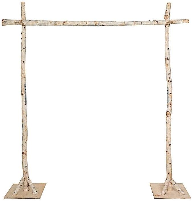 Balsa Circle 75 Feet Natural Birch Wood Wedding Arch