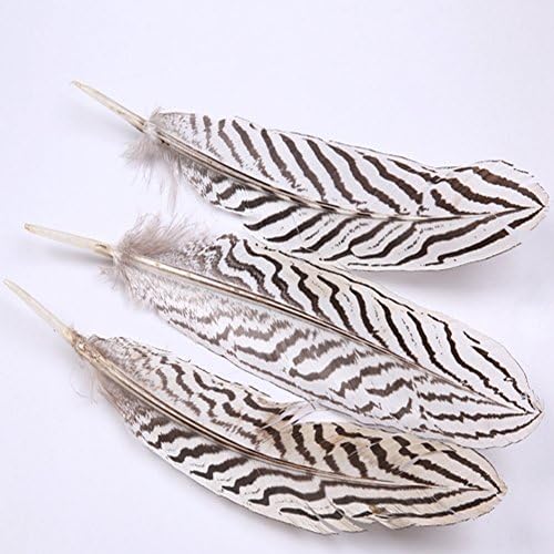 Sowder 10pcs Silver Pheasant Feathers Wedding Decoration