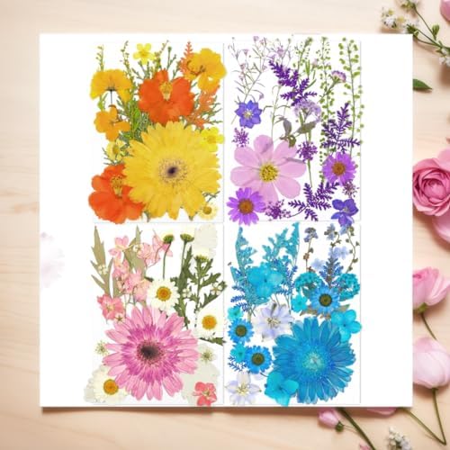 100 Pcs Dried Pressed Daisies for Resin Crafts