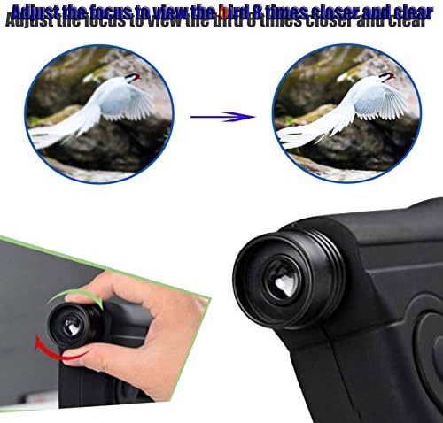 Parabolic Microphone Monocular for Nature Observation and Sound Amplification