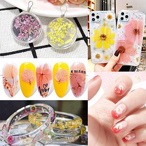 140 Pcs Real Dried Pressed Flowers Leaves Petals for Crafts