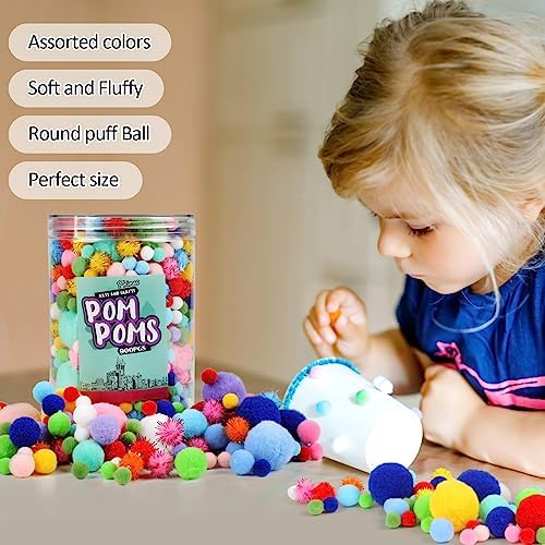 Phinus 900PCS Multicolor Pom Poms for Crafts