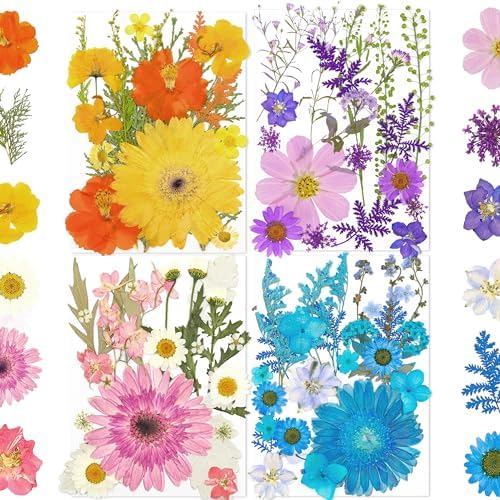 100 Pcs Dried Pressed Daisies for Resin Crafts