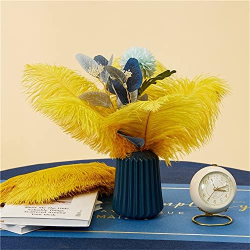 NEWONG 30pcs Gold Ostrich Feathers for Vase Decorations