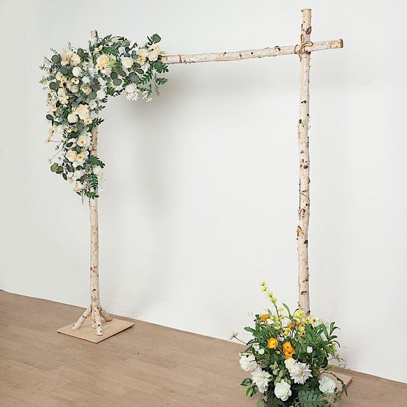 Balsa Circle 75 Feet Natural Birch Wood Wedding Arch