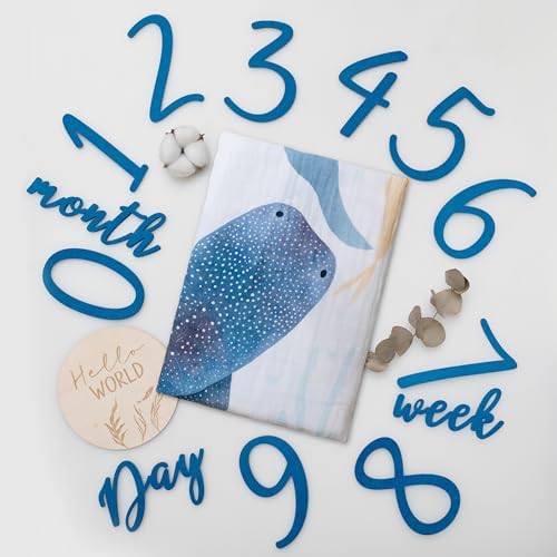 Miaoberry Ocean Baby Milestone Blanket for Boys