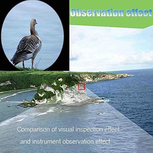 Multifunction Parabolic Microphone Monocular for Outdoor and Family Use