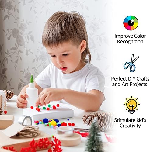 Phinus 900PCS Multicolor Pom Poms for Crafts