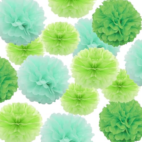 YLYs Love 30pcs Pom Poms Tissue Paper Flower Decor