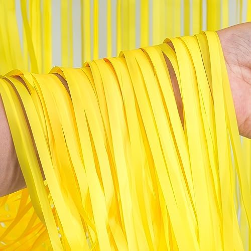 Braveshine Foil Fringe Curtain Backdrop 2 Pack