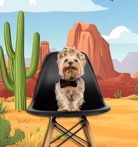 7x5ft Cartoon Desert Cactus Backdrop Wild West Photography Background