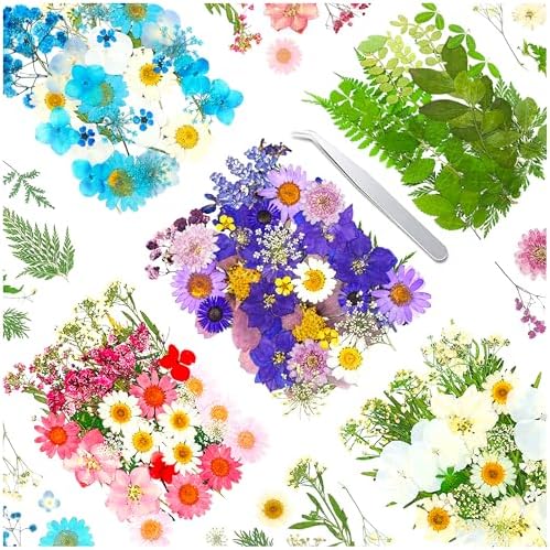 170Pcs Real Dried Pressed Flowers Leaves for Craft DIY Resin Jewelry