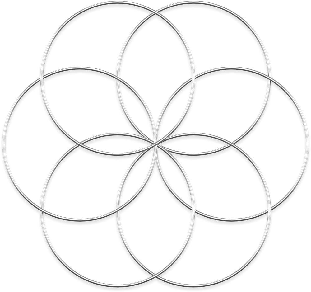 Worown 6 Pcs 8 Inch Silver Metal Wreath Hoops for Crafts