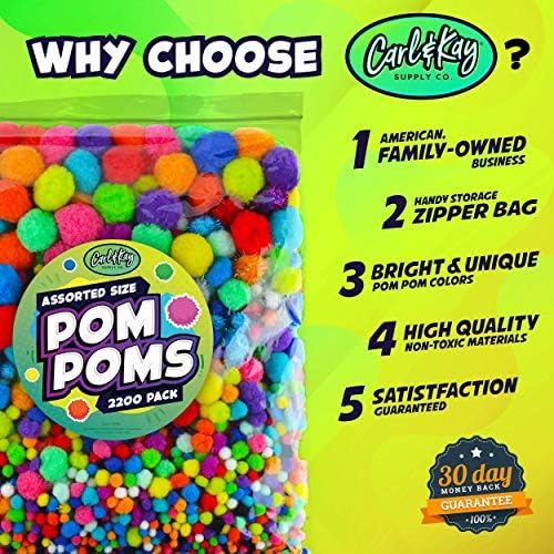 2200 Pieces Assorted Pom Poms with Googly Eyes