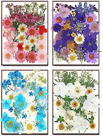 170Pcs Real Dried Pressed Flowers Leaves for Craft DIY Resin Jewelry