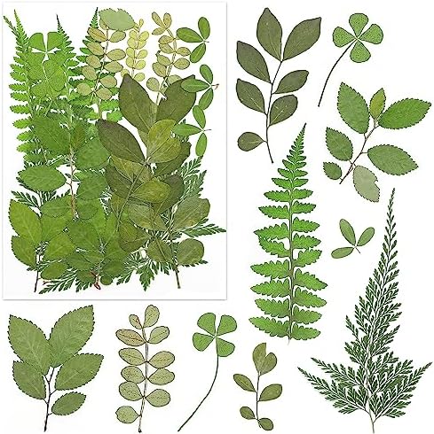 140 Pcs Real Dried Pressed Flowers Leaves Petals for Crafts