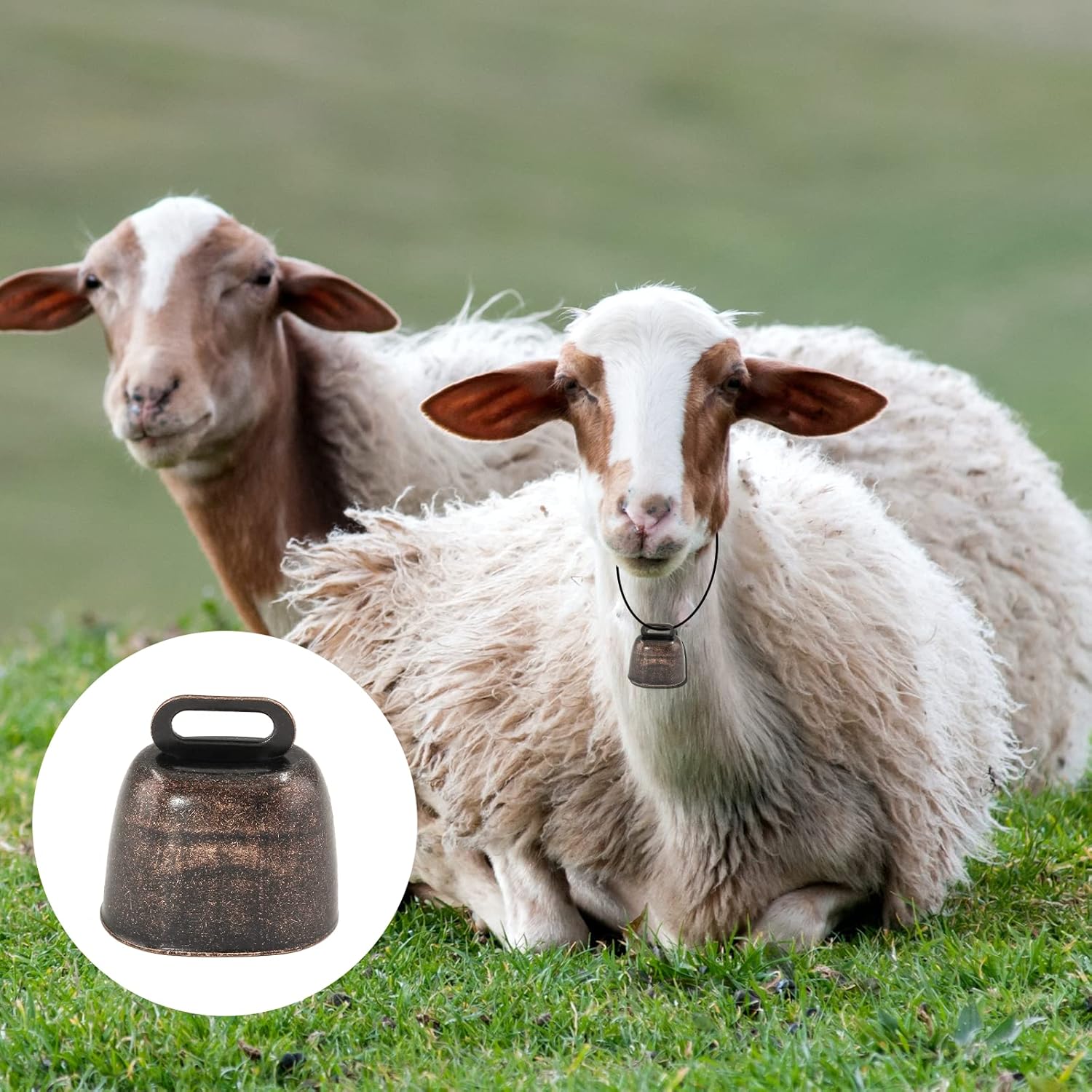 Litoexpe 4Pcs Anti-Lost Bells for Animals and Decor