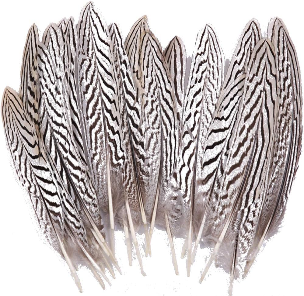 Sowder 10pcs Silver Pheasant Feathers Wedding Decoration