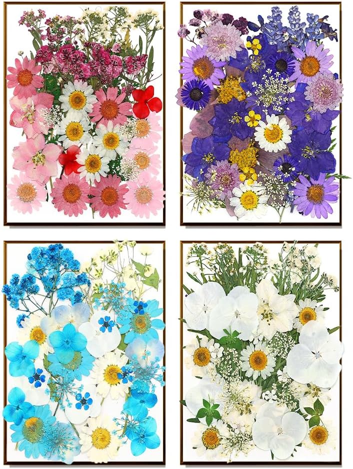 170Pcs Real Dried Pressed Flowers Leaves for Craft DIY Resin Jewelry