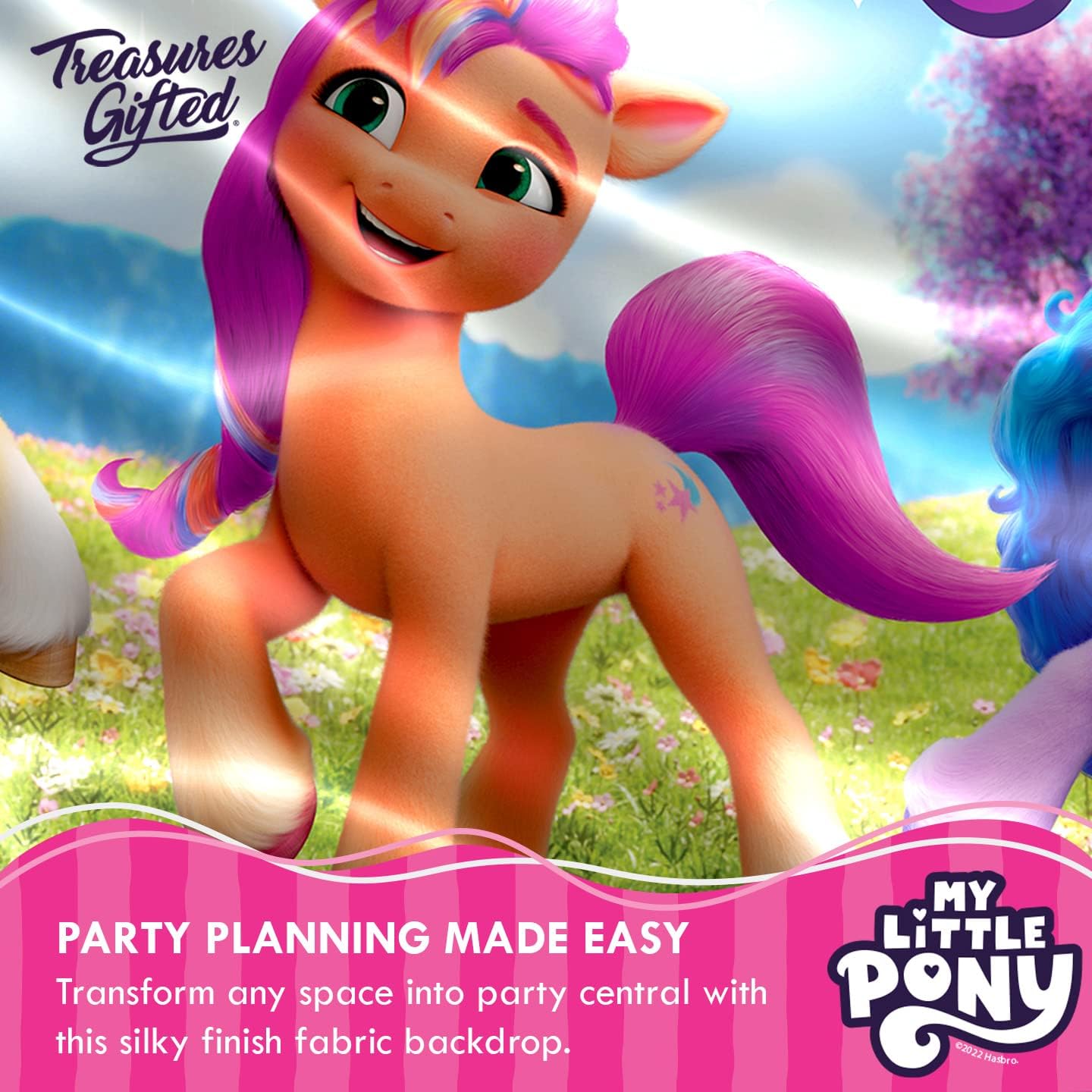 Treasures Gifted My Little Pony Birthday Decorations