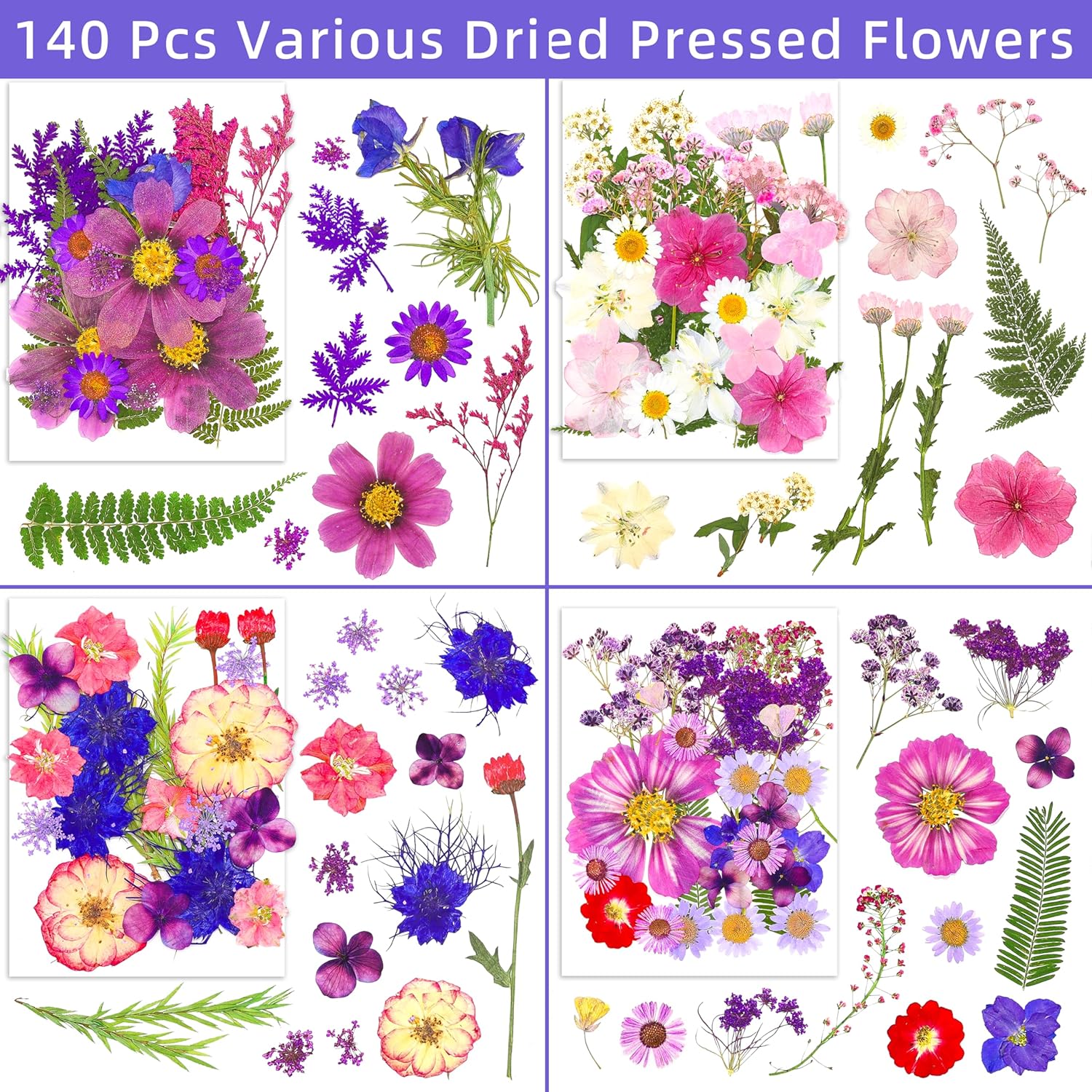 140 Pcs Real Dried Pressed Flowers Leaves Petals for Crafts